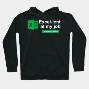 Accountant Hoodie